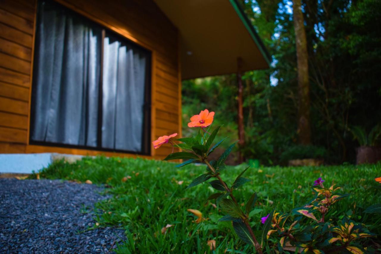 Cabanas Lys Monteverde Buitenkant foto