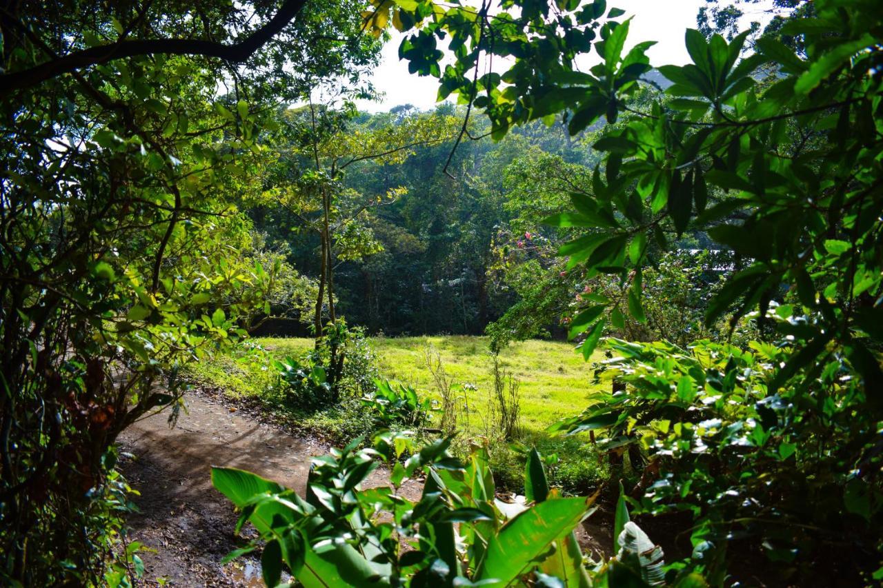 Cabanas Lys Monteverde Buitenkant foto